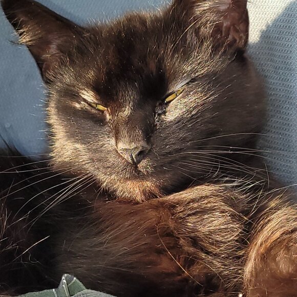 💥10/30 @ 8:40 AM EST Come Hang With Us!! Like This Flyer!!🎈 - Picture 11 of 11